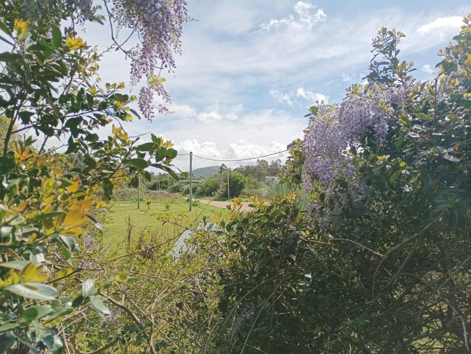 Vila Casas Punta Negra Piriápolis Exteriér fotografie